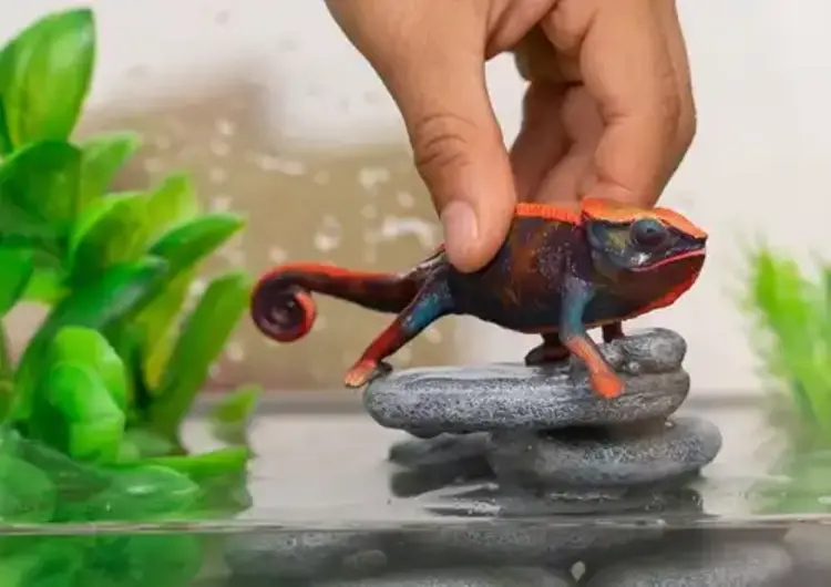 Schleich Wild Life Chameleon