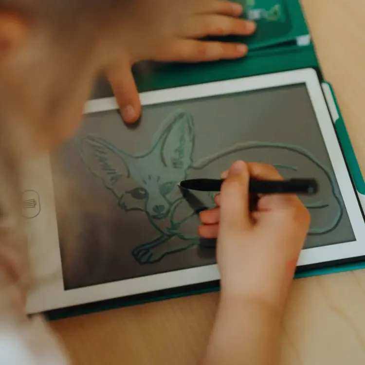 Kidywolf Kidydraw Mini tekenbord 30 Dieren over de hele wereld