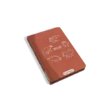 Kidywolf Kidydraw Mini tekenbord 30 Dinosaurussen Kidywolf Kidydraw Mini tekenbord 30 Dinosaurussen