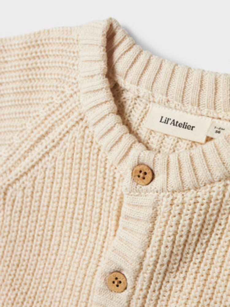 Lil Atelier 13231617 NBNEMLEN LS KNIT CARD LIL  Turtledove
