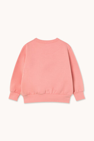 Tiny Cottons Worm Graphic Sweatshirt 293 Tiny Cottons Worm Graphic Sweatshirt 293