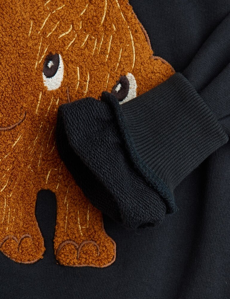 Mini Rodini Mammoth chenille sweatshirt - Chapter 1