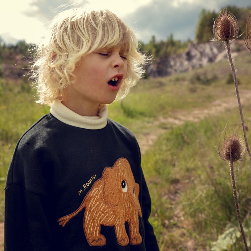 Mini Rodini Mammoth chenille sweatshirt - Chapter 1
