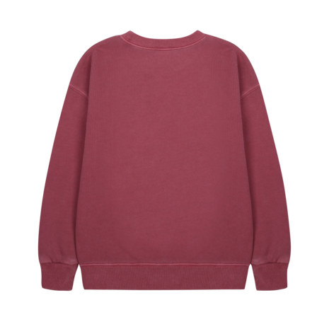 Jelly Mallow Flying Bird Pigment Sweatshirt Jelly Mallow Flying Bird Pigment Sweatshirt