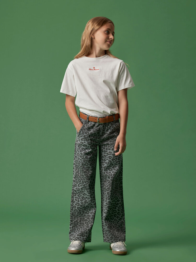 Name It 13241505 NKFROSE WIDE TWI PANTS 4444-TD NOOS Leo Grey