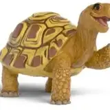 Schleich Turtle Henrietta