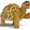 Schleich Sdmt School Magical Animals - Turtle Henrietta Schleich Sdmt School Magical Animals - Turtle Henrietta