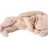 Maileg Sleeping bunny plush, Small - Powder Maileg Sleeping bunny plush, Small - Powder