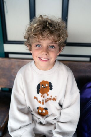 Mini Rodini Doggies sp sweatshirt grey