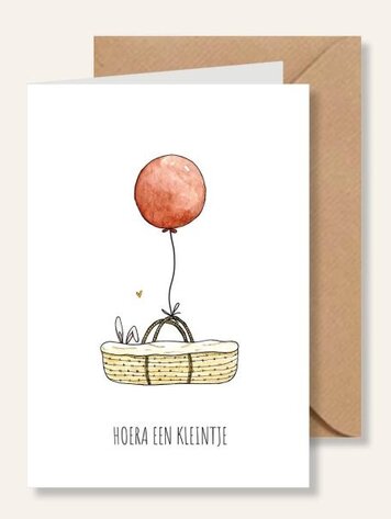 Juulz Illustrations Felicitatie kaart geboorte mozes mandje