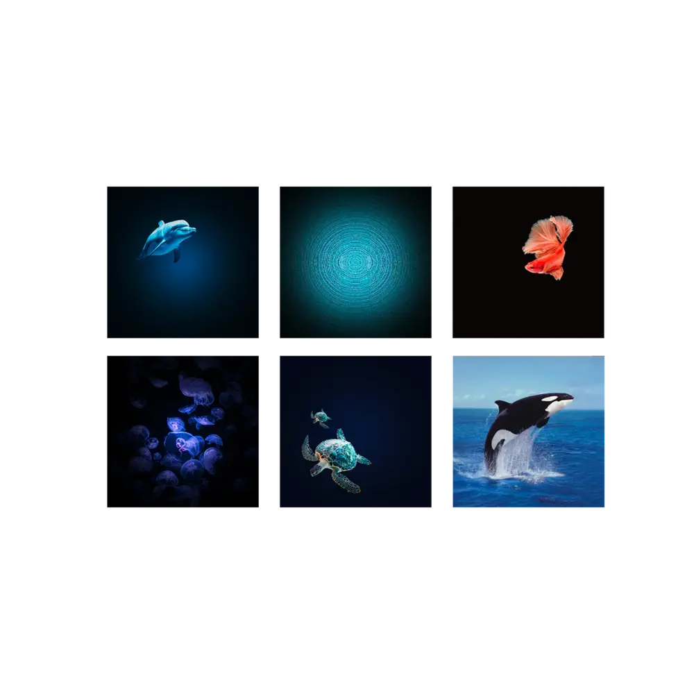 Kidywolf KIDYSTAR HD planetarium met 6 schijven oceanen en zeeën