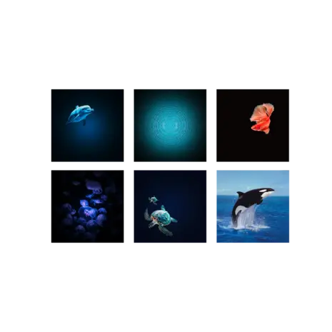 Kidywolf KIDYSTAR HD planetarium met 6 schijven oceanen en zeeën