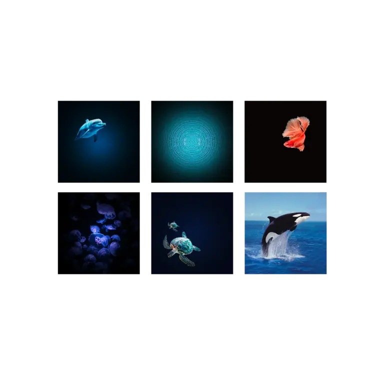 Kidywolf beeldprojector met  6 schijven van oceanen en zeeën