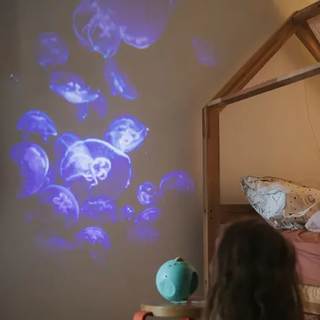 Kidywolf beeldprojector met  6 schijven van oceanen en zeeën
