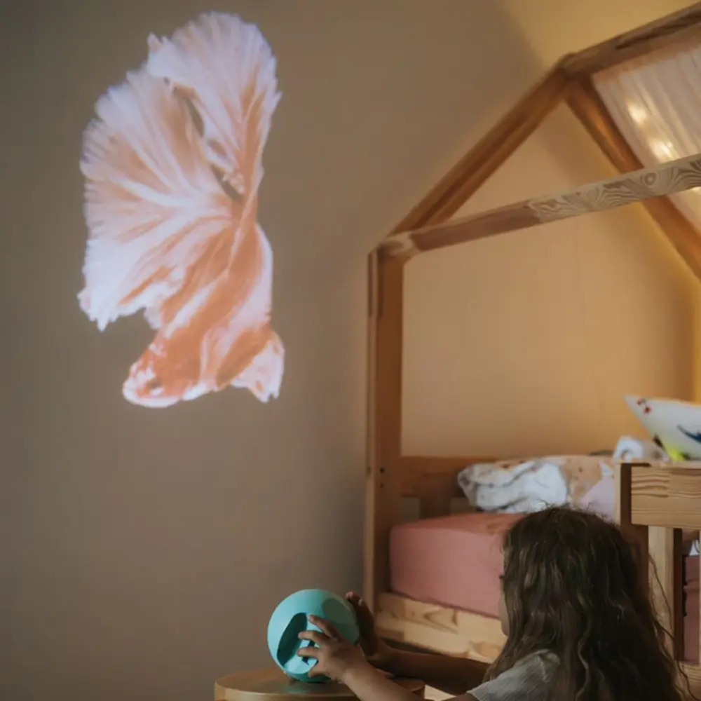 Kidywolf beeldprojector met  6 schijven van oceanen en zeeën