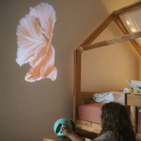 Kidywolf beeldprojector met  6 schijven van oceanen en zeeën