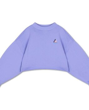 Repose 21. Crop heart sweater glacier bloom