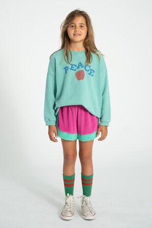 Piupiuchick  turquoise sweater met “Peace” print