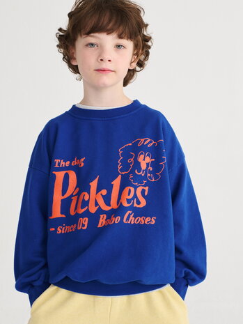 Bobo Choses blauwe sweater Pickles The Dog