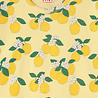 Tiny Cottons Oranges Rib Tee mellow yellow