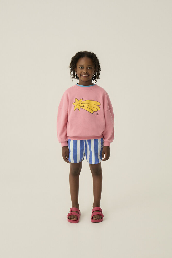 The Campamento roze sweater Falling Star The Campamento roze sweater Falling Star