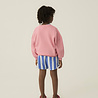 The Campamento roze sweater Falling Star The Campamento roze sweater Falling Star