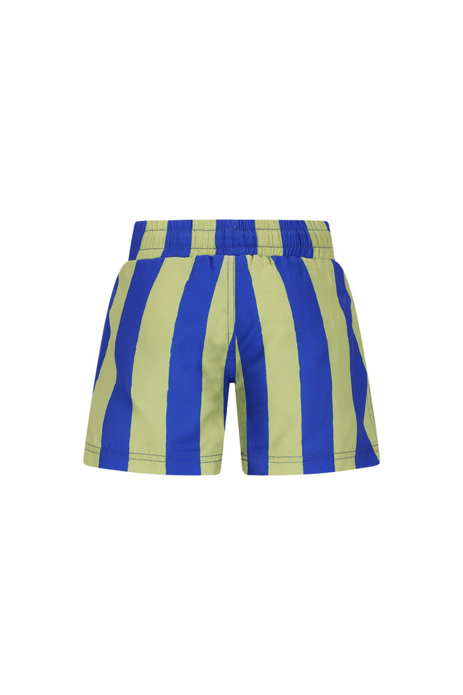 The New Chapter Swimshort Vic Magic Stripes