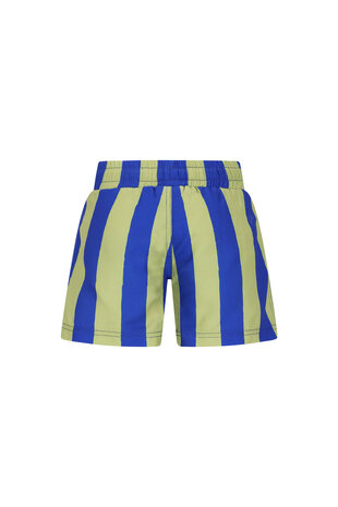 The New Chapter Swimshort Vic Magic Stripes