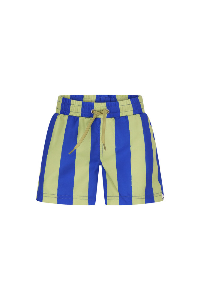 The New Chapter Swimshort Vic Magic Stripes
