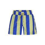 The New Chapter D601-6615 Swimshort Vic Magic Stripes