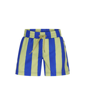 The New Chapter D601-6615 Swimshort Vic Magic Stripes