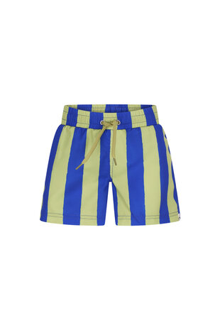 The New Chapter Swimshort Vic Magic Stripes