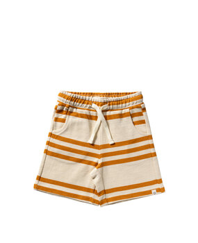 Your Wishes Triad Stripe | Bermuda Shorts 998 Multicolor