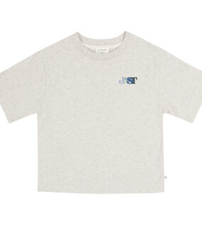 Jenest MASE T-SHIRT GREY MELANGE