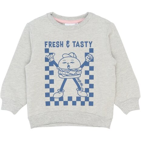 The New TNSTSamy Sweatshirt Light Grey