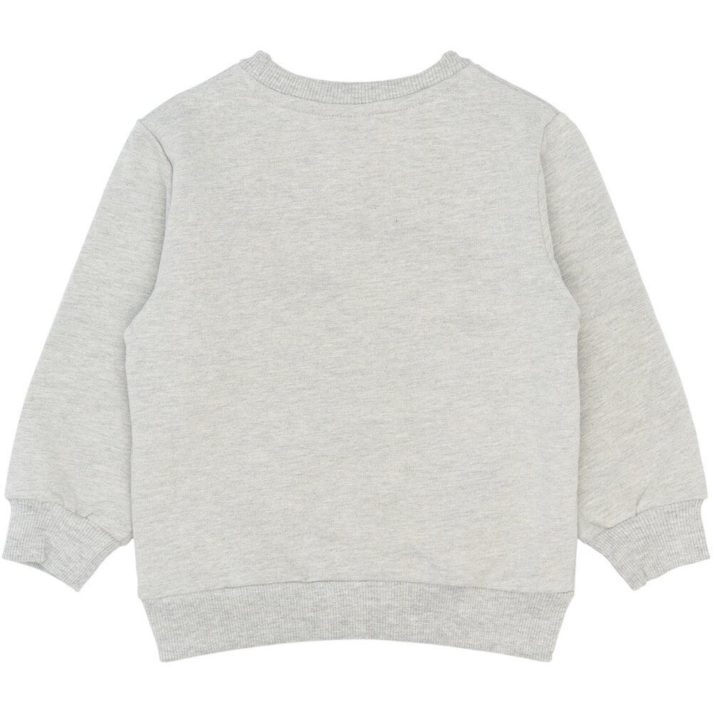 The New TNSTSamy Sweatshirt Light Grey