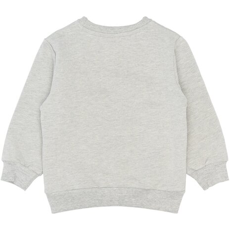 The New TNSTSamy Sweatshirt Light Grey