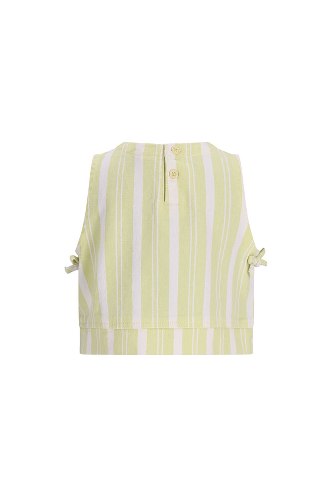 The New Chapter D602-5136 Top Beth Green Stripes