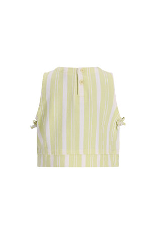 The New Chapter D602-5136 Top Beth Green Stripes