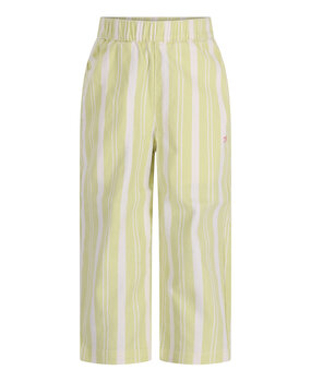 The New Chapter D602-0645 Pants Atlas Green Stripes