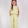 The New Chapter D602-0645 Pants Atlas Green Stripes