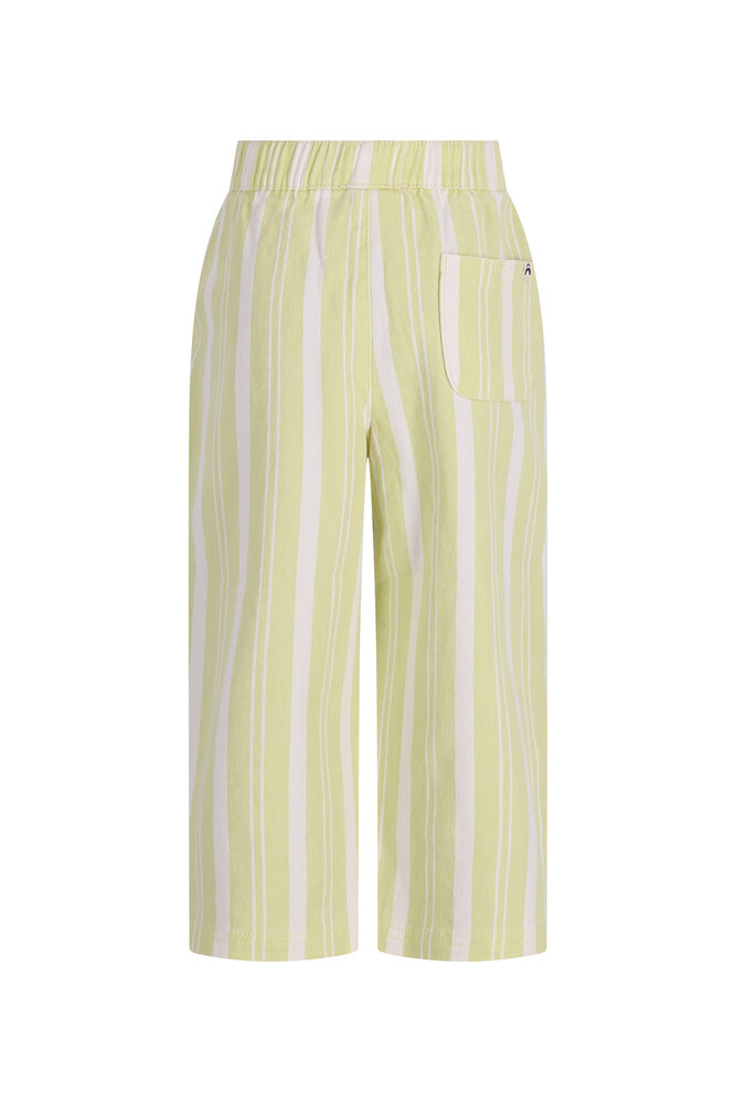 The New Chapter D602-0645 Pants Atlas Green Stripes