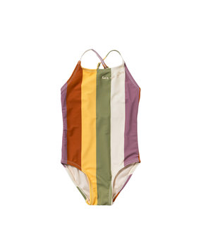 Salted Stories SASS26-998SDH Multi Stripe | Swimsuit Multicolor