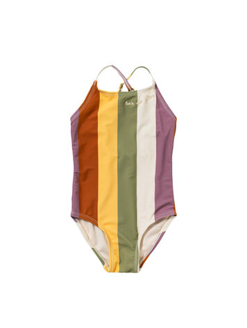 Salted Stories SASS26-998SDH Multi Stripe | Swimsuit Multicolor