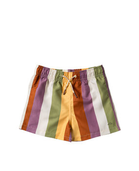Salted Stories SASS26-998SAK Multi Stripe | Swim Shorts Multicolor