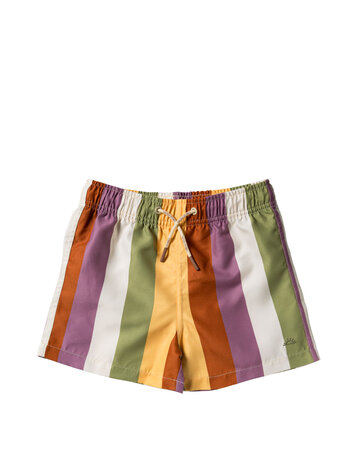 Salted Stories SASS26-998SAK Multi Stripe | Swim Shorts Multicolor