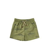 Salted Stories SASS26-618SAK614 Shark | Swim Shorts Iguana