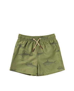 Salted Stories SASS26-618SAK614 Shark | Swim Shorts Iguana