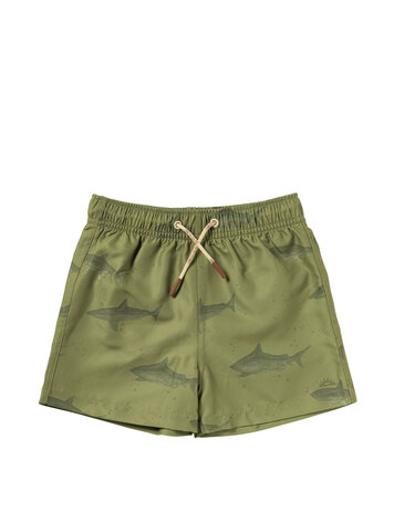 Salted Stories SASS26-618SAK614 Shark | Swim Shorts Iguana