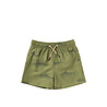 Salted Stories SASS26-618SAK614 Shark | Swim Shorts Iguana